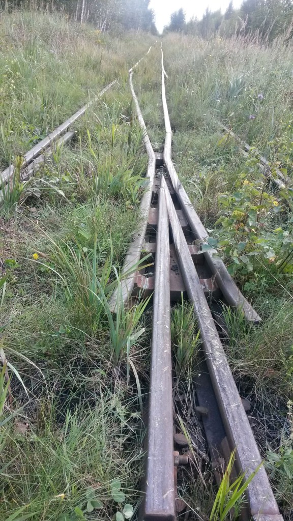 Узкая колея