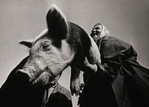 14. На рынке. Фотограф Александрас Мацияускас. Снимок продан в лоте из трех работ за 4 тысячи фунтов стерлингов.