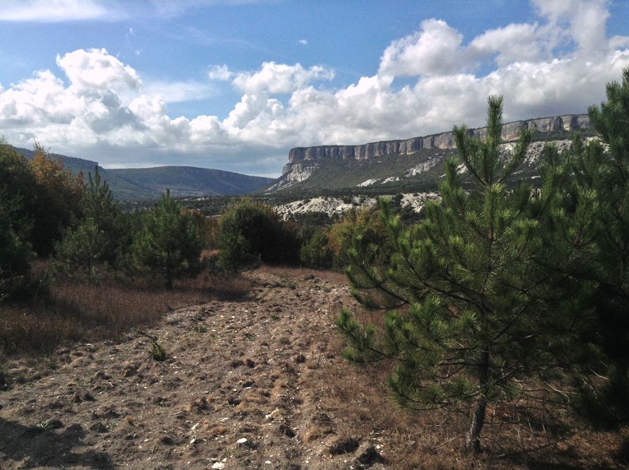 image-20-09-16-15_18-4