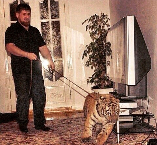 Рамзан Кадыров