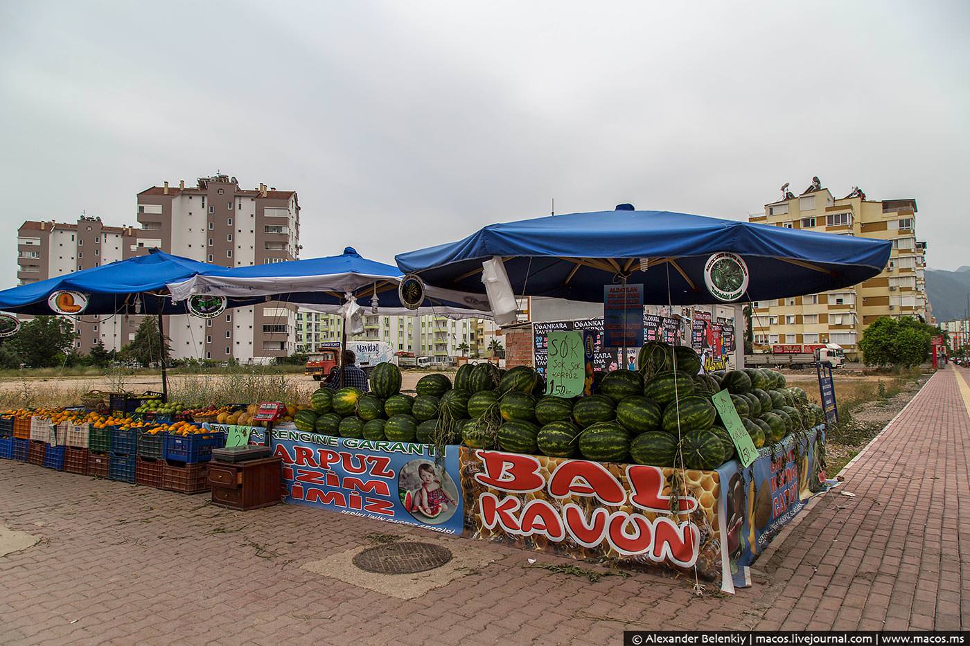 Как живут русские в Турции.