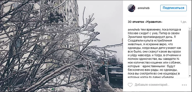Министерство культуры возложило ответственность на Эрмитаж, а представители музея считают, что искусство Фабра "дало вторую жизнь" мертвым животным