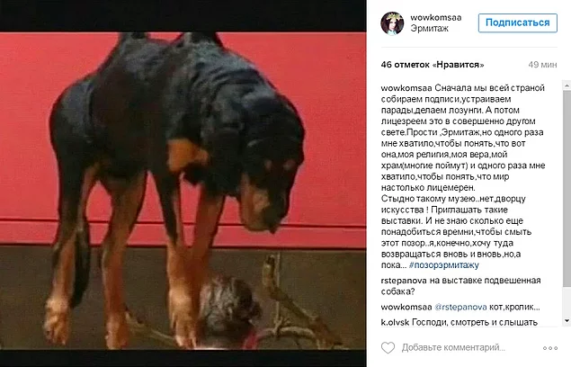 В ответ на гневные комментарии Эрмитаж напомнил, что еще 28 октября опубликовал на сайте ответы на вопросы посетителей по поводу выставки Фабра