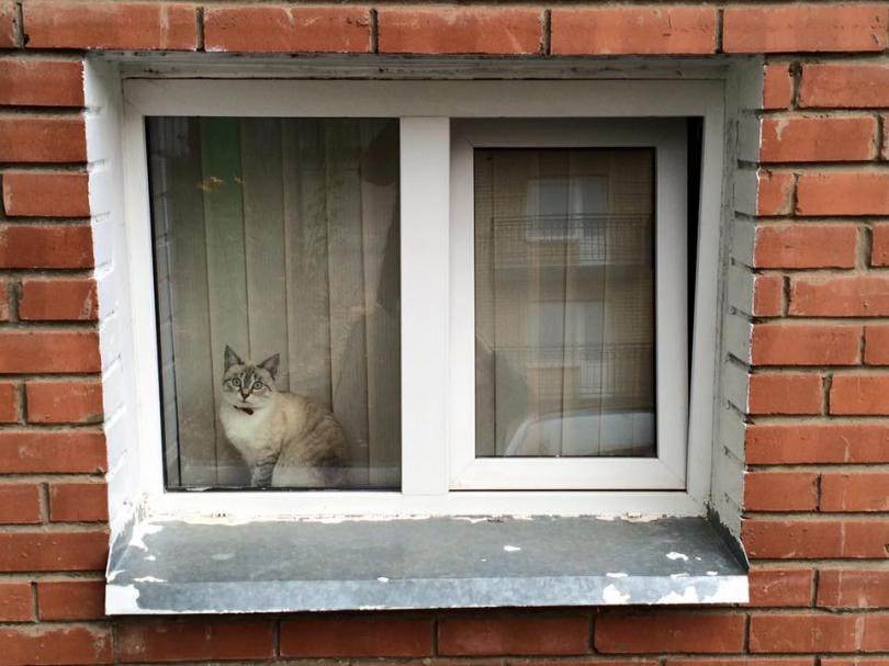 Кострома: вдоль Волги