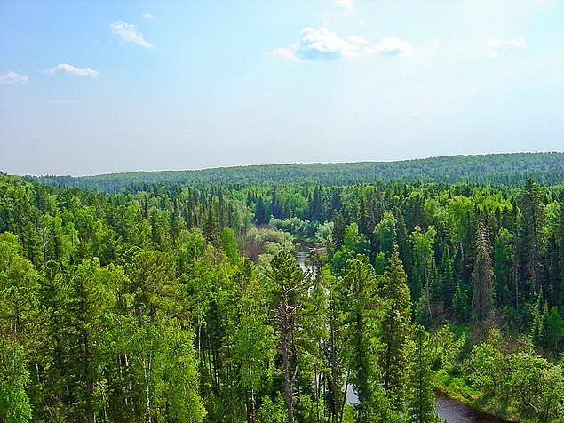 Юганский заповедник
