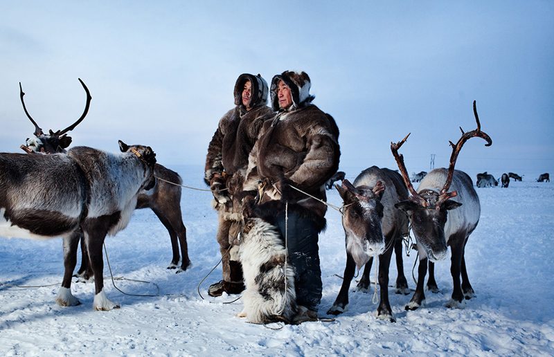 tundra_01-800x516