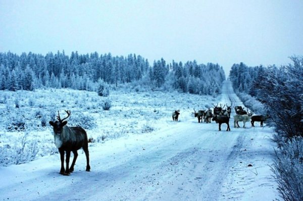 Самые пугающие места в России