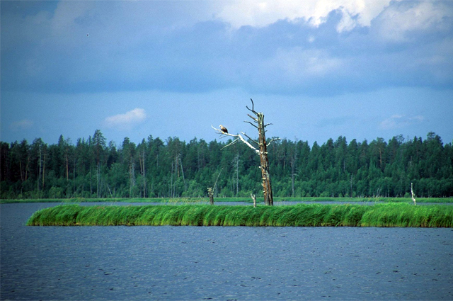 Водлозерский национальный парк