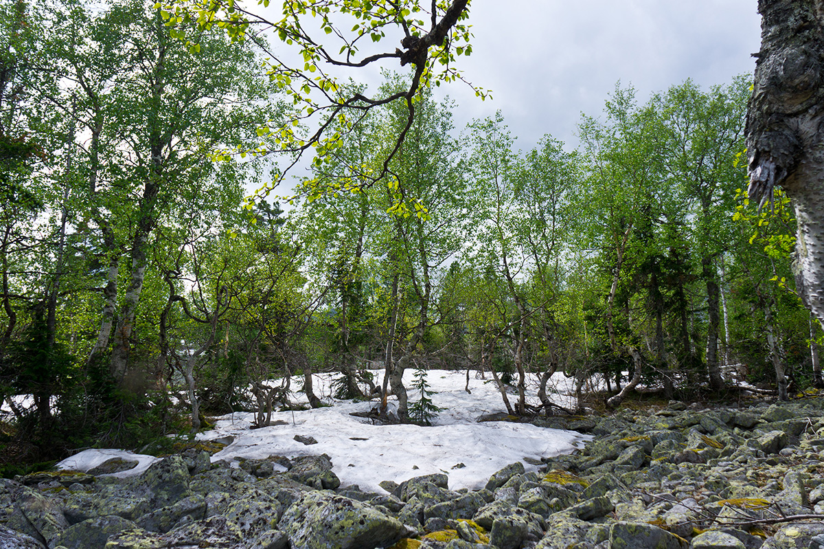 хребет