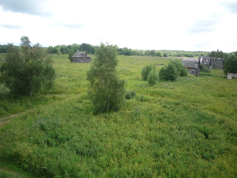 P1630421.JPG