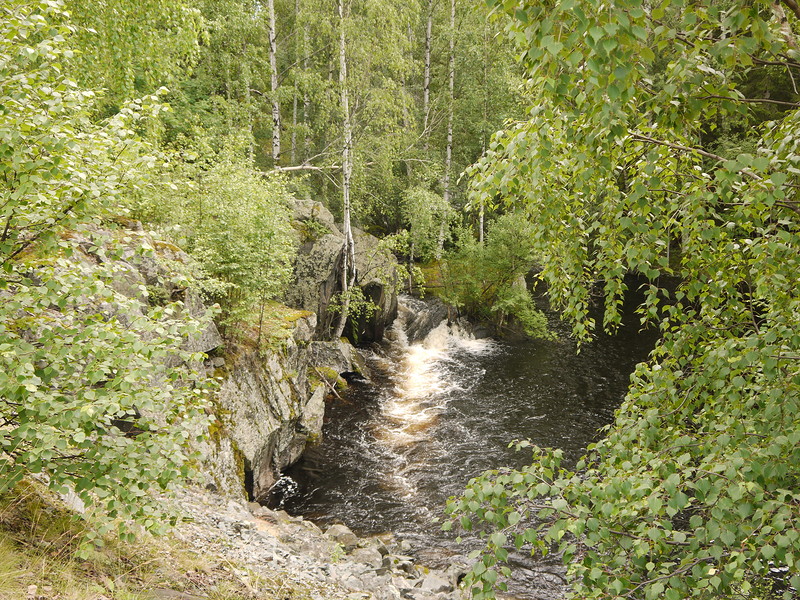 P1240002.JPG