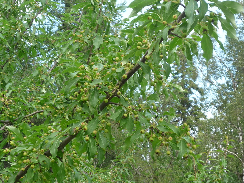 P1630509.JPG
