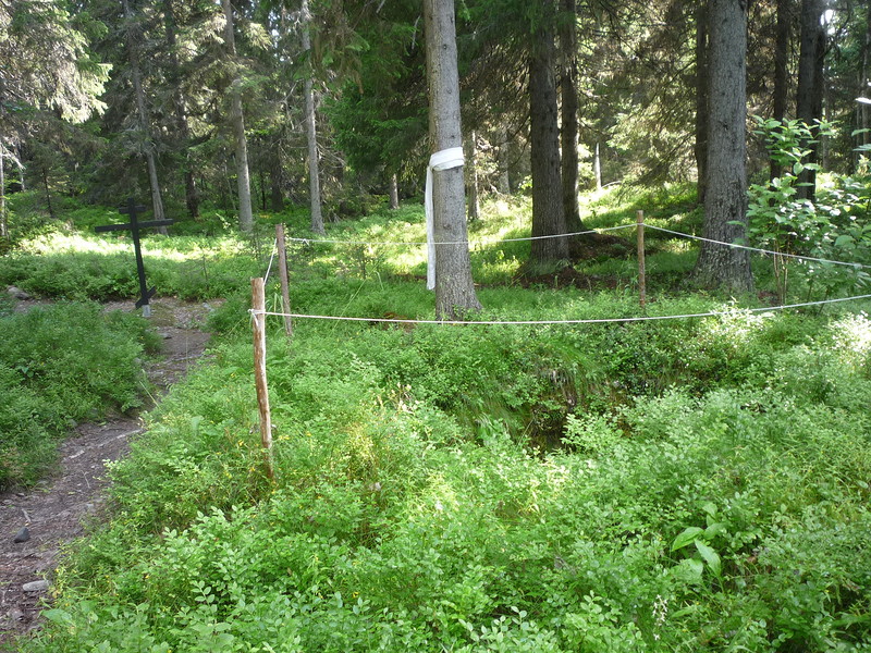 P1630520.JPG