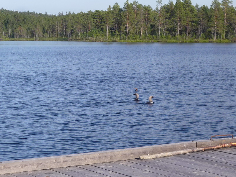 P1630525.JPG