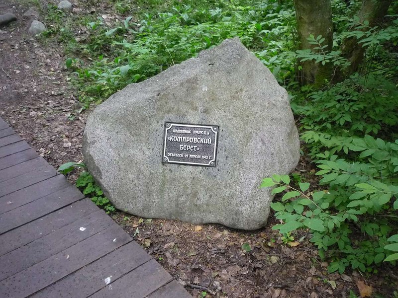 sm-p1590698.jpg