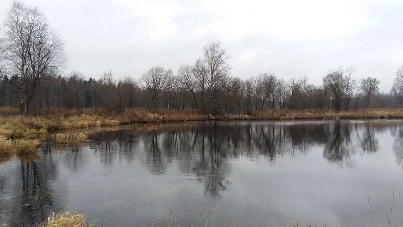 sm-20171111_150048.jpg