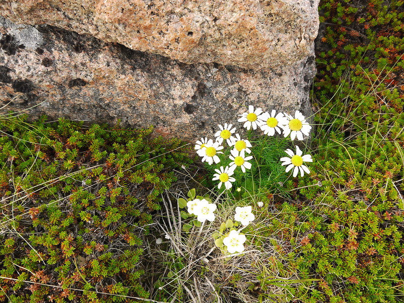 P1240254.JPG