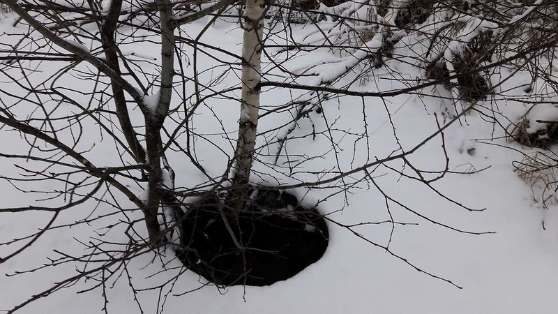 sm-20171202_155554.jpg sm-20171202_155554.jpg