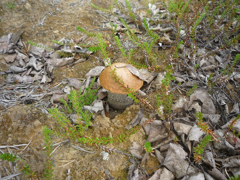 P1630660.JPG