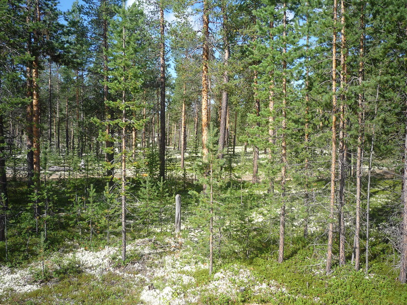 P1630661.JPG