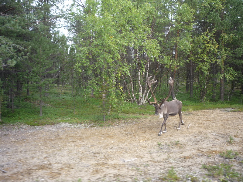 P1630664.JPG