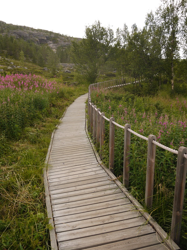 P1240350.JPG