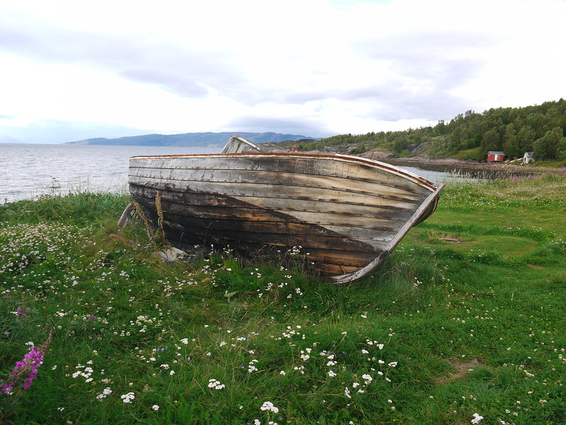 P1240365.JPG