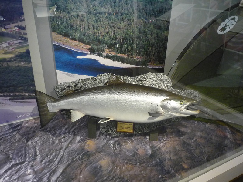 P1630734.JPG