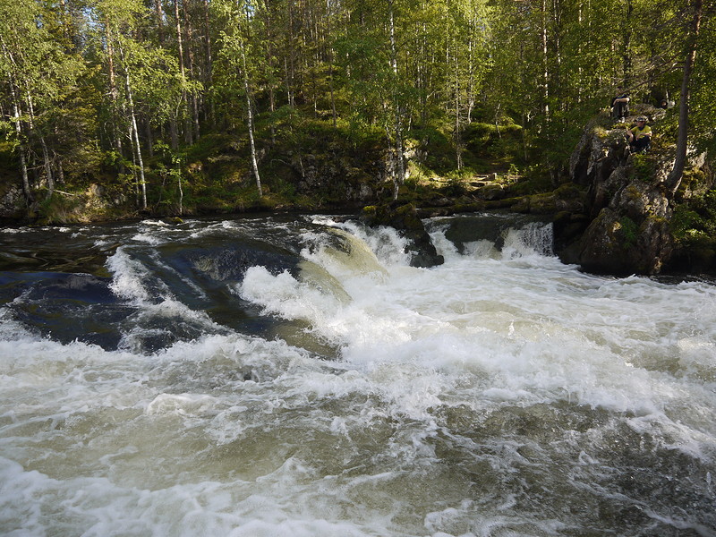 P1240431.JPG