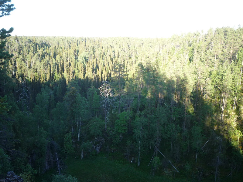 P1630797.JPG