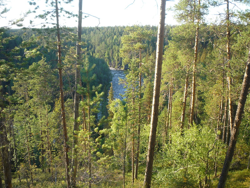 P1630802.JPG