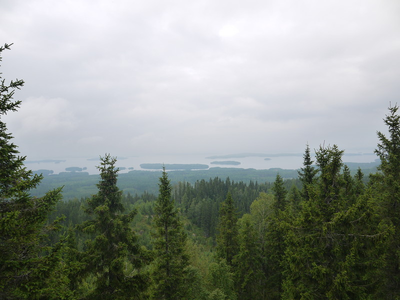 P1240483.JPG