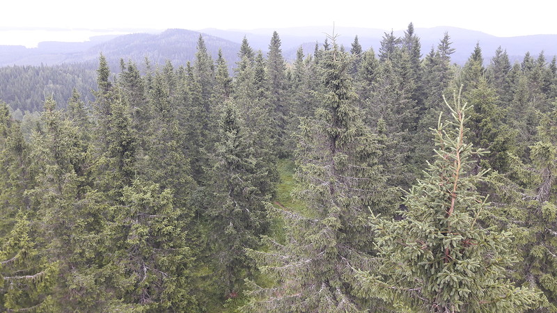20170818_153705.jpg