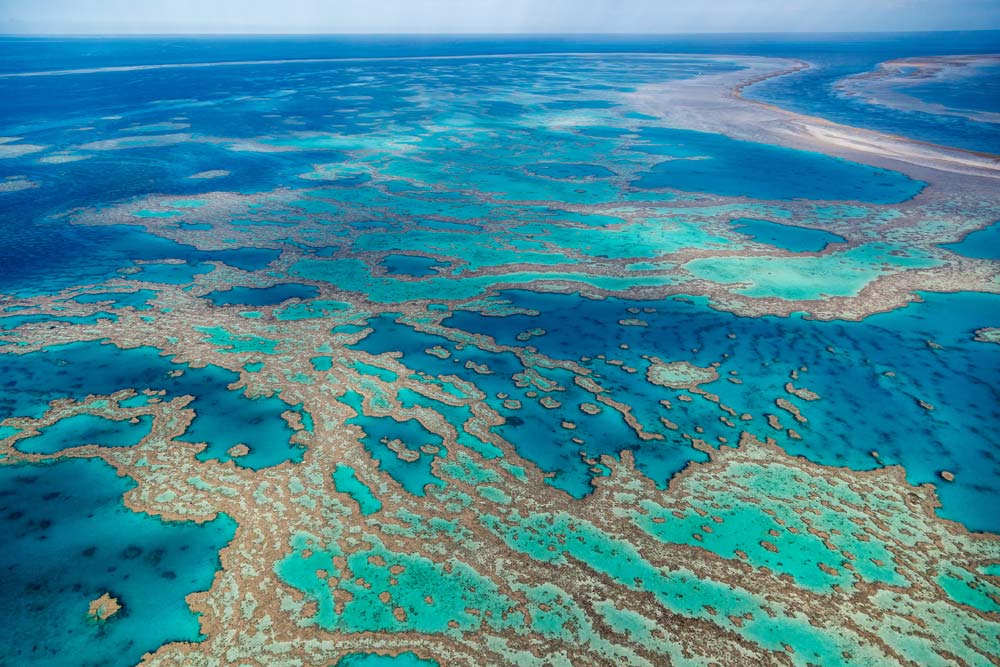 GettyImages-582030719-.jpg
