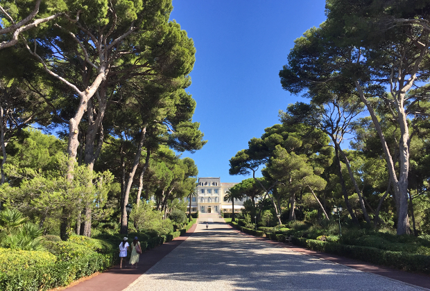 Центральная аллея Hôtel du Cap Eden Roc