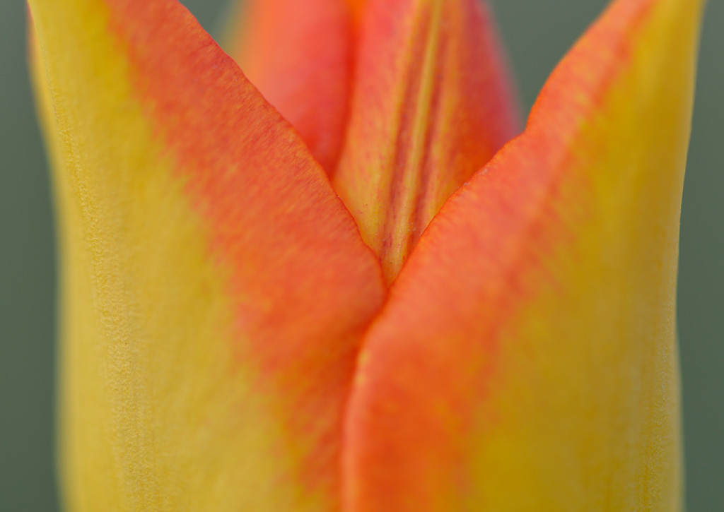 _DSC1225 _DSC1225