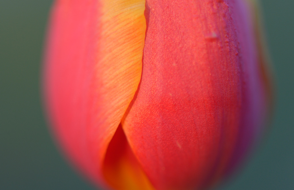 _DSC1476 _DSC1476