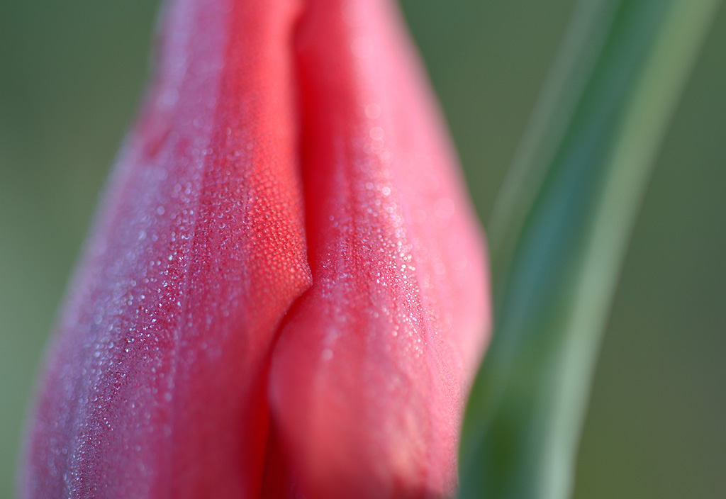 _DSC1708 _DSC1708
