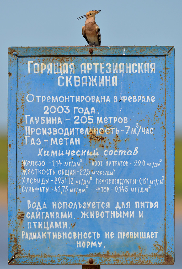 _DSC4319 _DSC4319