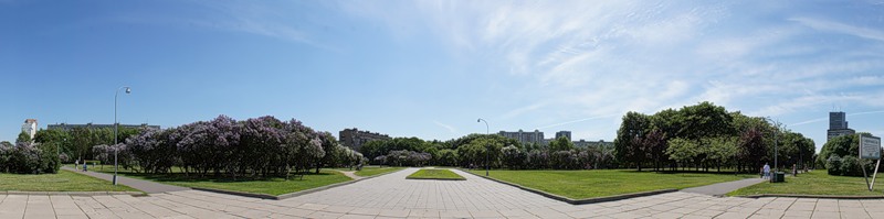 Сиреневый сад