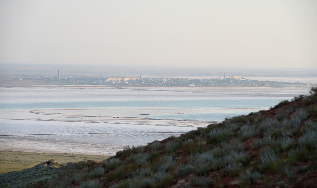 DSC_2709 DSC_2709
