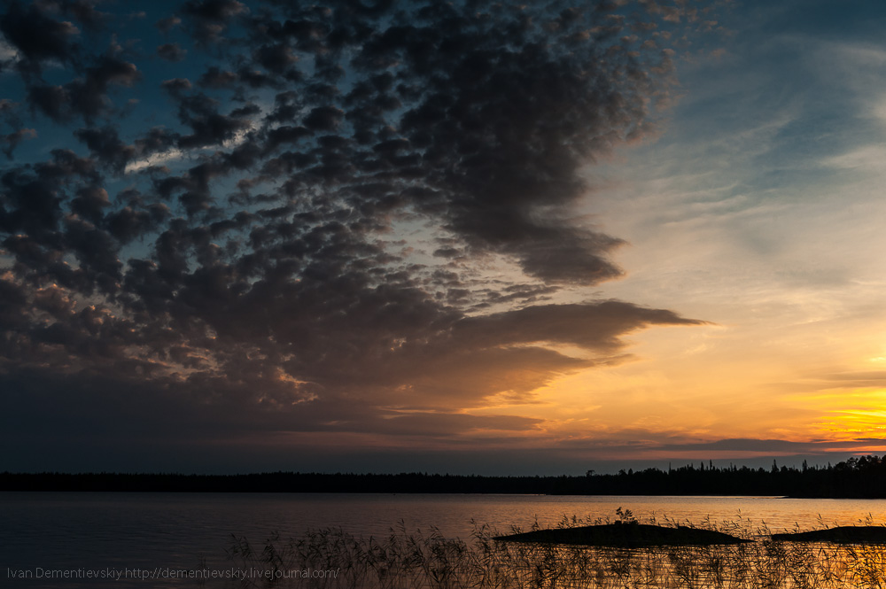DSC_8584