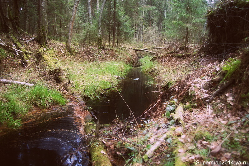 Моква-река