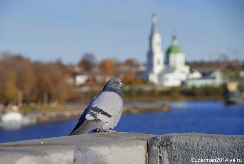 Тверь