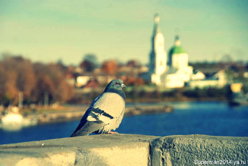 Тверь