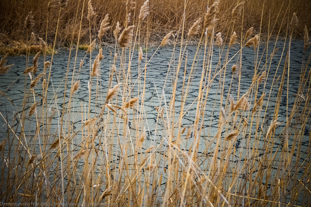 DSCF0769