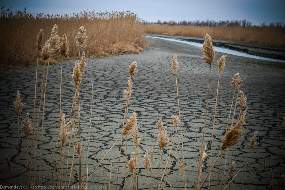 DSCF0785