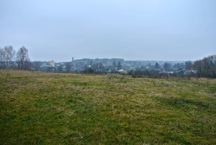 DSC_5202