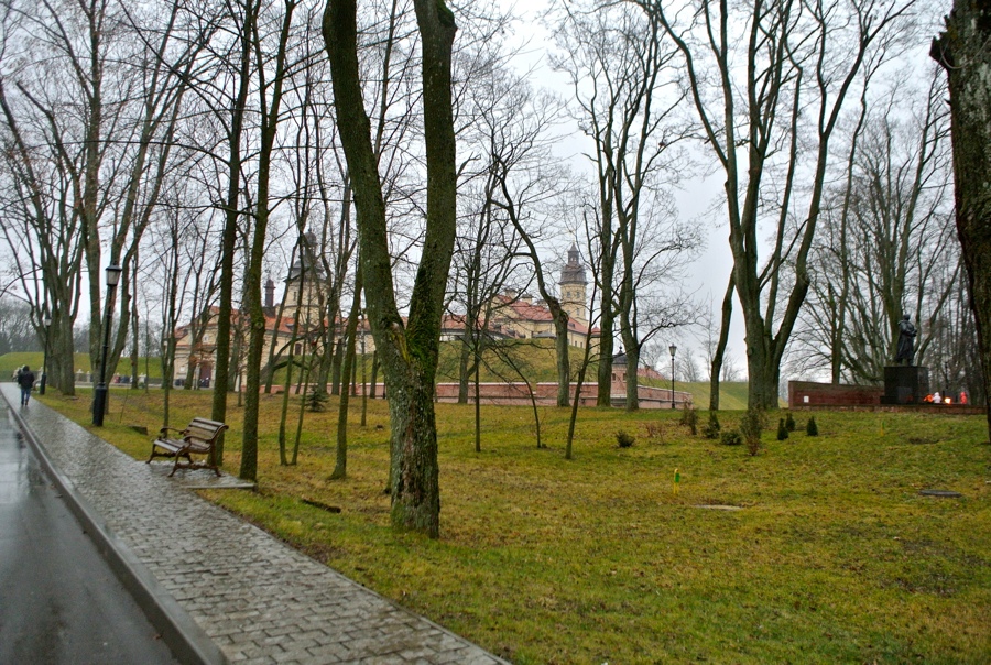 DSC_5381