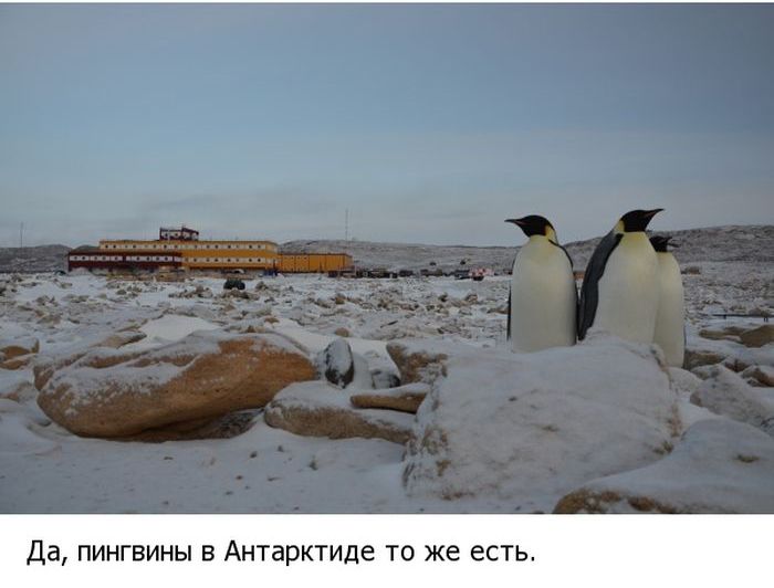 Жизнь в Антарктиде: исследовательская станция 'Прогресс' (19 фото)